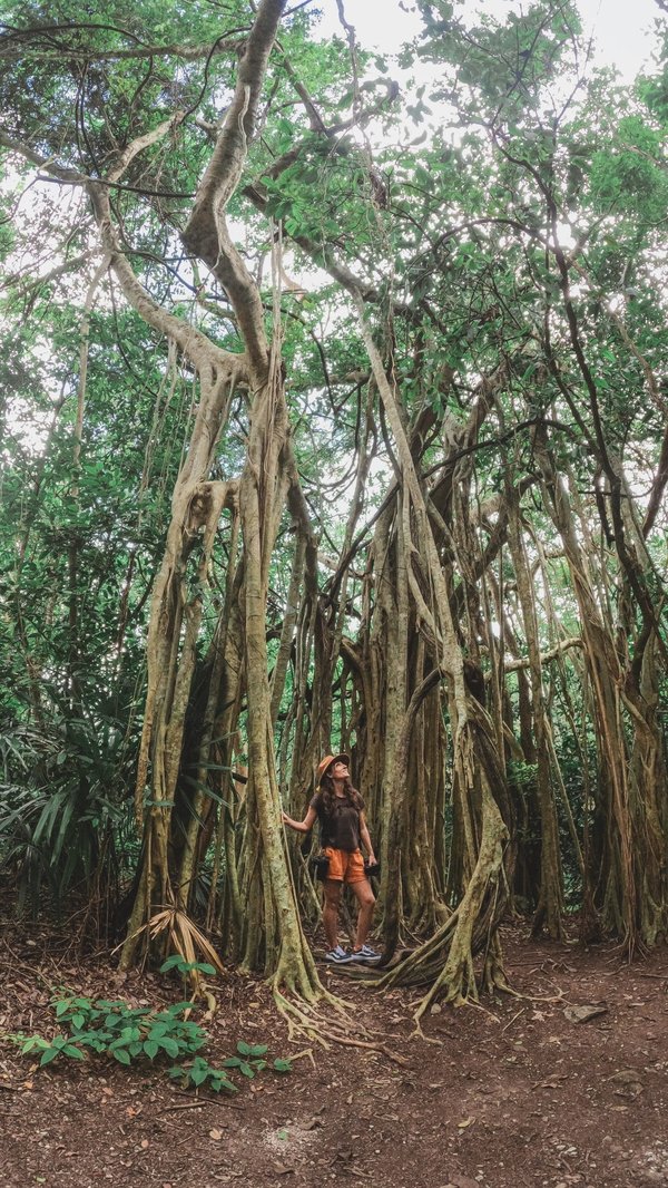 les itinéraires de road-trip les plus incontournables dans le monde