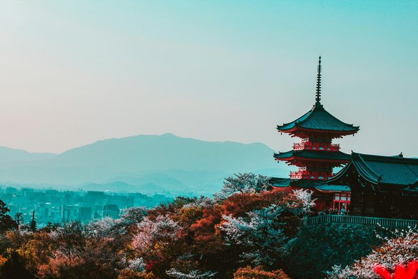 Bons plans au Japon : rendez votre séjour incroyable